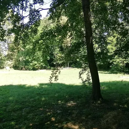 Waldhaus Pat Appartement