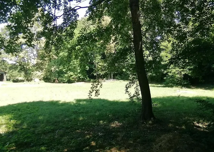 Waldhaus Pat Appartement